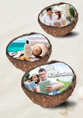 creative coconut shell template
