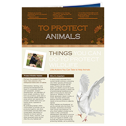 animal protection newsletter template