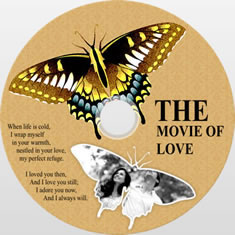 butterfly disk cover template